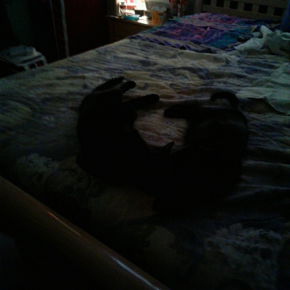 Meet your Posher, Michelle - Picture 1 of 5